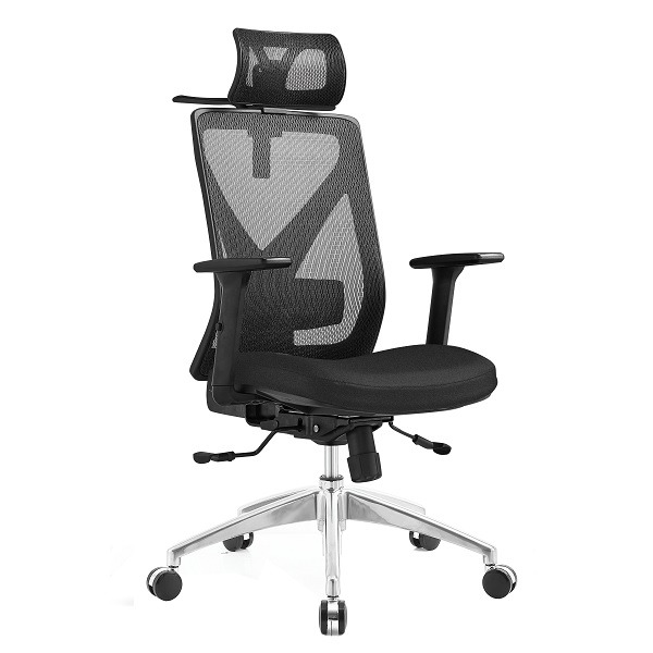 stolica