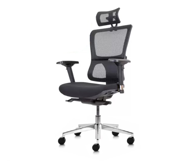 stolica